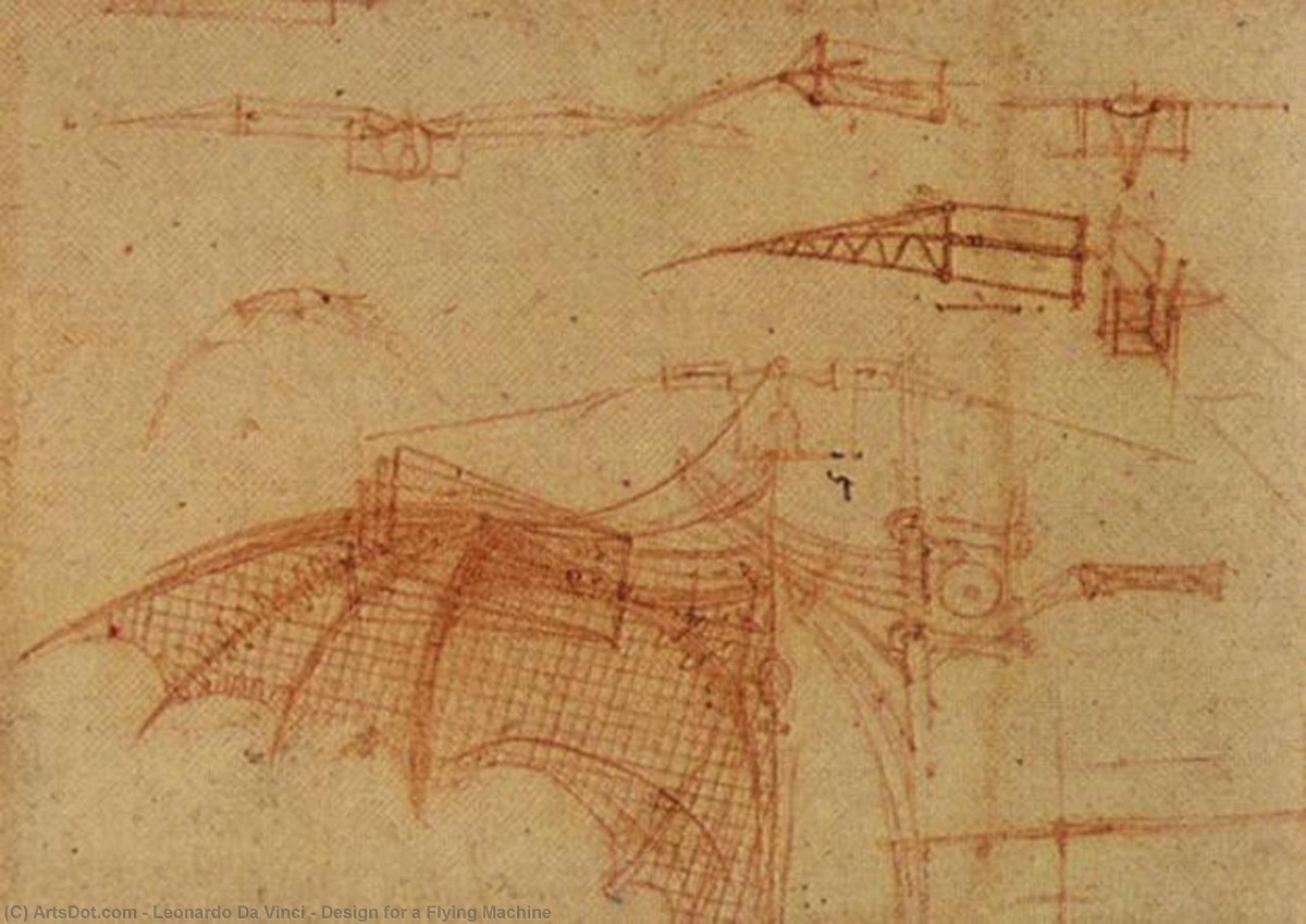 Sulle ali di Leonardo